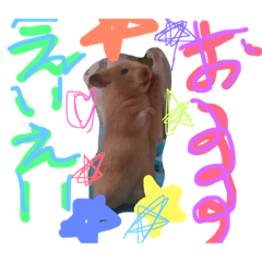 [LINEスタンプ] まなみのボブ
