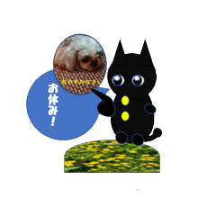 [LINEスタンプ] dog and cat sticker999