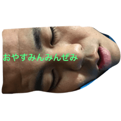 [LINEスタンプ] ゴリラと人間のハーフちひろで〜す。
