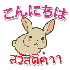 [LINEスタンプ] 毎日楽しめる ウサギ 日本語タイ語の画像（メイン）