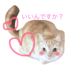 [LINEスタンプ] スーニャンスタンプ