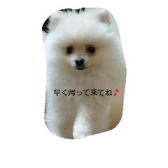 [LINEスタンプ] moco01