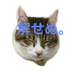 [LINEスタンプ] ごまむぎ2017