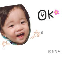 [LINEスタンプ] はるたん( 日常用語 )