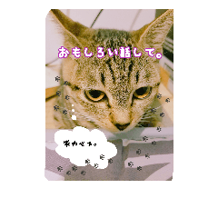 [LINEスタンプ] rinchan::