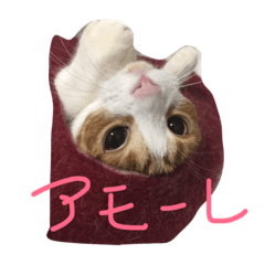 [LINEスタンプ] のりたまの日常