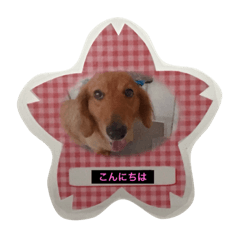 [LINEスタンプ] Riku and Ryu stamp