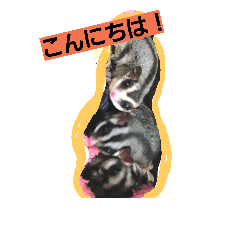 [LINEスタンプ] モモンガ②
