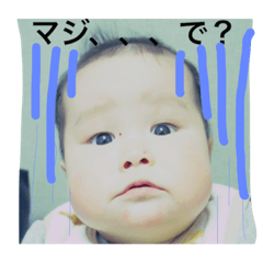 [LINEスタンプ] maekawa family
