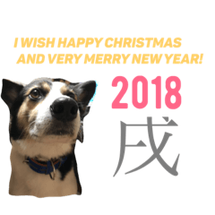 [LINEスタンプ] 変な犬 くぅ 年末年始エディション