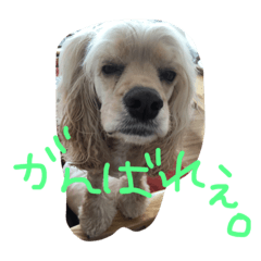 [LINEスタンプ] ダイナな毎日③