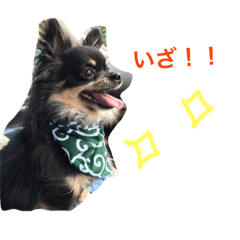 [LINEスタンプ] こまちゃんライフ