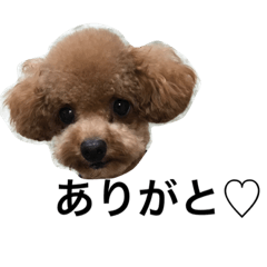 [LINEスタンプ] マルコ2