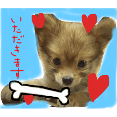 [LINEスタンプ] さつまくん