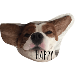 [LINEスタンプ] hoppy doggies