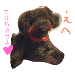 [LINEスタンプ] ブラックトイプードルの見えずらい苦悩。