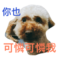 [LINEスタンプ] lovely DD