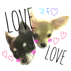[LINEスタンプ] メロディ＆ルイ スタンプ 1