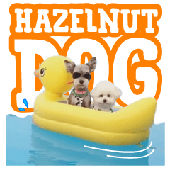 [LINEスタンプ] Hazelnut Dogs