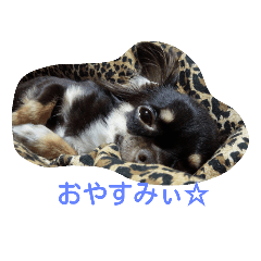 [LINEスタンプ] funny.s