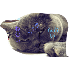 [LINEスタンプ] ユニークな動物スタンプ