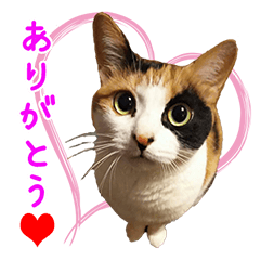 [LINEスタンプ] みけねこ・あんたん2