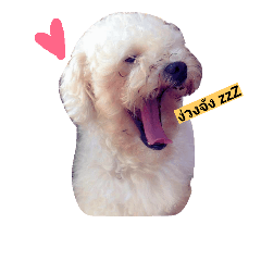 [LINEスタンプ] Frank＆Mootun