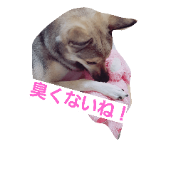 [LINEスタンプ] momo..