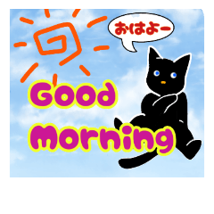 [LINEスタンプ] 野良猫のスタンプ