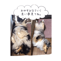 [LINEスタンプ] ゆっきー＆スタディ！