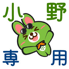 [LINEスタンプ] 「小野」さん専用スタンプ