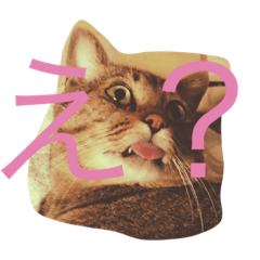 [LINEスタンプ] 吾輩は猫である。