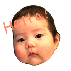 [LINEスタンプ] こー家族用スタンプ 