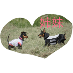 [LINEスタンプ] happygaga