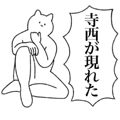 [LINEスタンプ] 寺西さん専用！便利な名前スタンプ