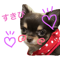 [LINEスタンプ] HARUMOstamp