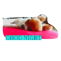 [LINEスタンプ] 愛犬さん