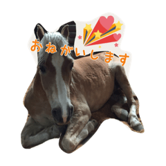 [LINEスタンプ] クラブ馬