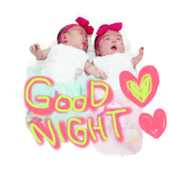 [LINEスタンプ] liltwinz