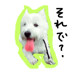 [LINEスタンプ] ウェスティンのアンティー君  言葉増量