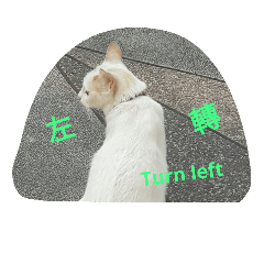 [LINEスタンプ] Cat points