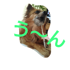 [LINEスタンプ] 癒しの友