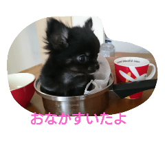 [LINEスタンプ] 癒してくれる仲間たち