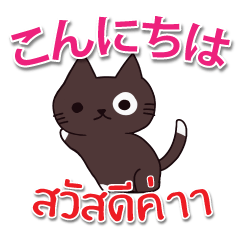 [LINEスタンプ] 毎日楽しめる 猫ちゃん 日本語タイ語