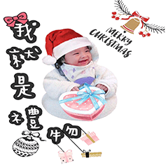 [LINEスタンプ] Levi＆Zora Christmas