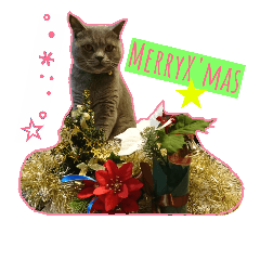 [LINEスタンプ] MU☆MerryX'mas