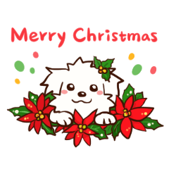 [LINEスタンプ] Happy Cotonese - Christmas Holidays (JP)