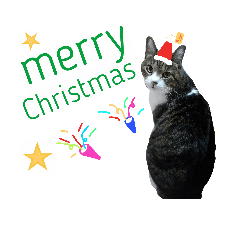 [LINEスタンプ] ロンのクリスマス