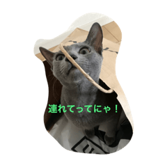 [LINEスタンプ] ぶーちゃんスタンプ(・∀・)