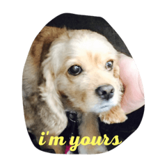 [LINEスタンプ] animal land #1